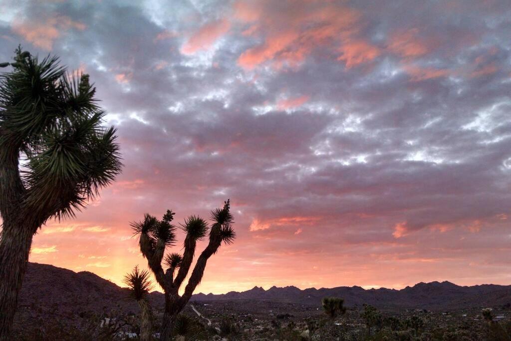 Steph'S Panorama Paradise-Nat'L Park Minutes Away Joshua Tree Zewnętrze zdjęcie